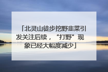 北灵山徒步挖野韭菜引发关注后续，“打野”现象已经大幅度减少