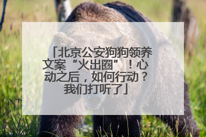 北京公安狗狗领养文案“火出圈”！心动之后，如何行动？我们打听了