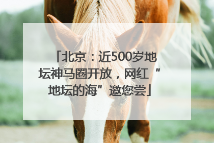 北京：近500岁地坛神马圈开放，网红“地坛的海”邀您尝