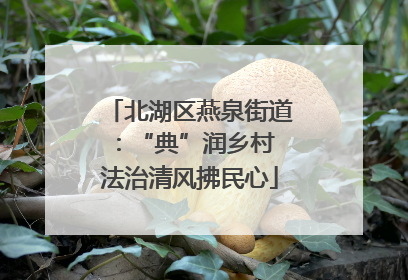 北湖区燕泉街道：“典”润乡村 法治清风拂民心