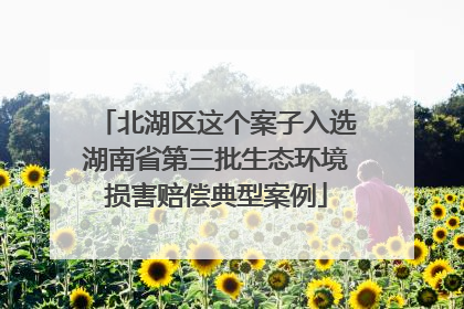 北湖区这个案子入选湖南省第三批生态环境损害赔偿典型案例
