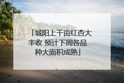 城阳上千亩红杏大丰收 预计下周各品种大面积成熟