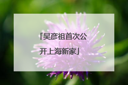 吴彦祖首次公开上海新家