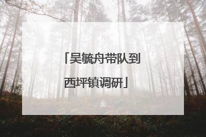 吴毓舟带队到西坪镇调研
