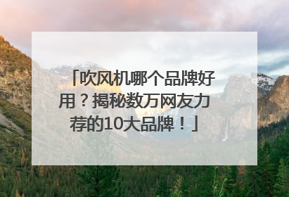 吹风机哪个品牌好用？揭秘数万网友力荐的10大品牌！