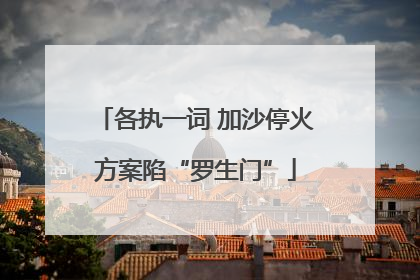 各执一词 加沙停火方案陷“罗生门”
