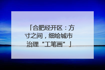 合肥经开区：方寸之间，细绘城市治理“工笔画”