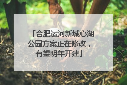 合肥运河新城心湖公园方案正在修改，有望明年开建