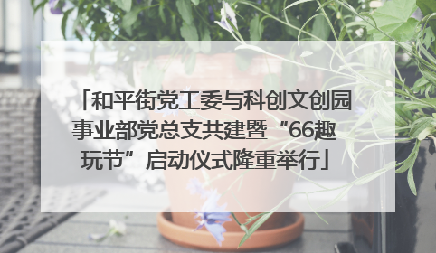 和平街党工委与科创文创园事业部党总支共建暨“66趣玩节”启动仪式隆重举行