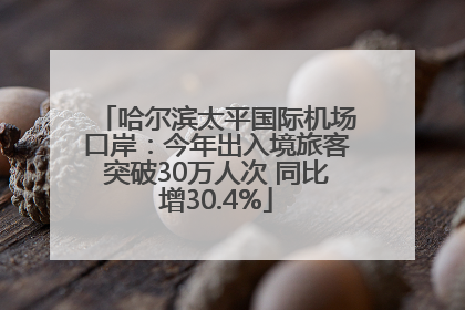 哈尔滨太平国际机场口岸：今年出入境旅客突破30万人次 同比增30.4%