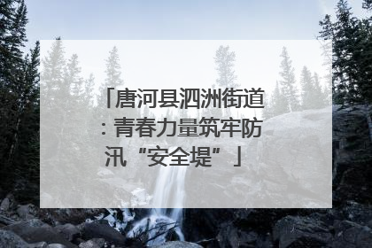 唐河县泗洲街道：青春力量筑牢防汛“安全堤”