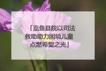 嘉鱼县院以司法救助助力困境儿童点燃希望之光