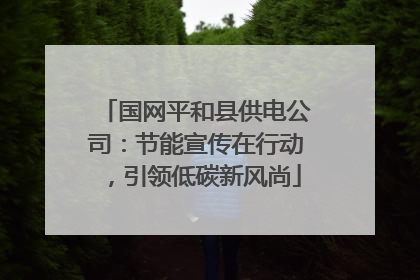 国网平和县供电公司：节能宣传在行动，引领低碳新风尚