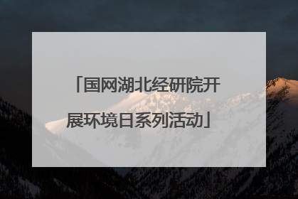 国网湖北经研院开展环境日系列活动