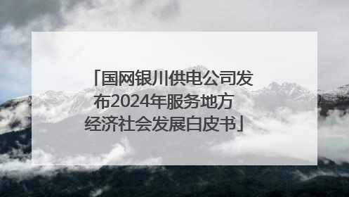 国网银川供电公司发布2024年服务地方经济社会发展白皮书