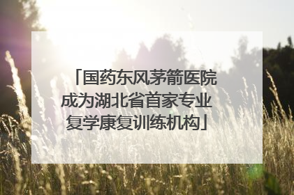 国药东风茅箭医院成为湖北省首家专业复学康复训练机构