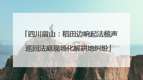 四川眉山：稻田边响起法槌声 巡回法庭现场化解耕地纠纷