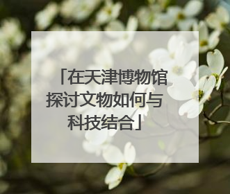 在天津博物馆探讨文物如何与科技结合