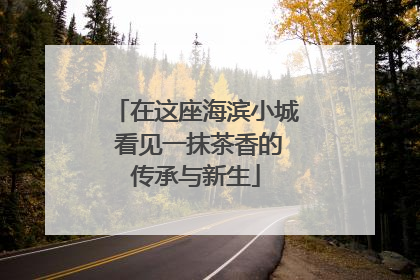 在这座海滨小城 看见一抹茶香的传承与新生