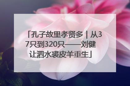 孔子故里孝贤多｜从37只到320只——刘健让泗水裘皮羊重生