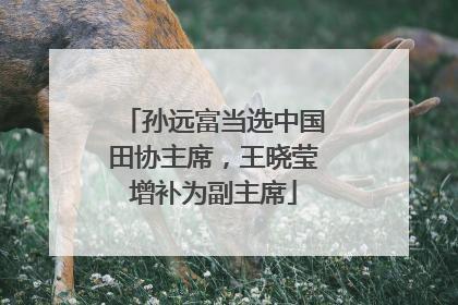 孙远富当选中国田协主席，王晓莹增补为副主席