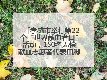 孝感市举行第22个“世界献血者日”活动，150名无偿献血志愿者代表用脚步丈量“中华孝爱第一山”