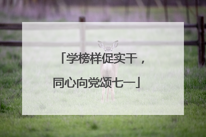 学榜样促实干，同心向党颂七一