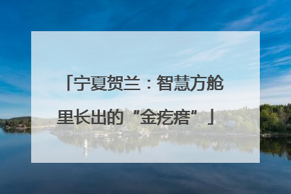 宁夏贺兰：智慧方舱里长出的“金疙瘩”