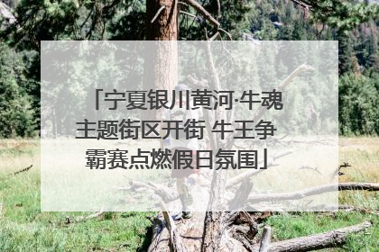 宁夏银川黄河·牛魂主题街区开街 牛王争霸赛点燃假日氛围