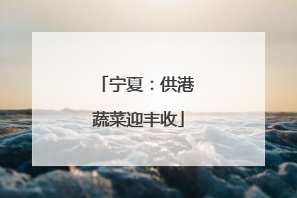 宁夏：供港蔬菜迎丰收