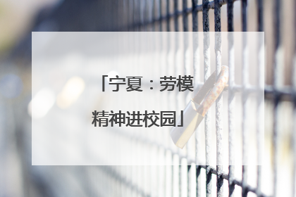 宁夏：劳模精神进校园