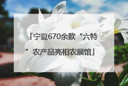 宁夏670余款“六特”农产品亮相农展馆