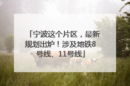 宁波这个片区，最新规划出炉！涉及地铁8号线、11号线