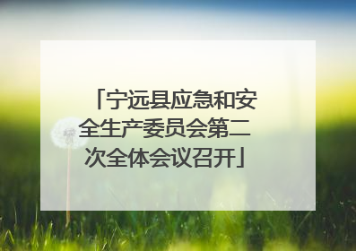 宁远县应急和安全生产委员会第二次全体会议召开