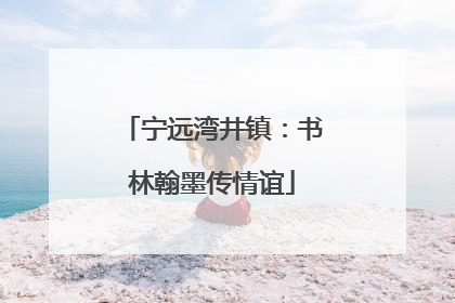 宁远湾井镇：书林翰墨传情谊