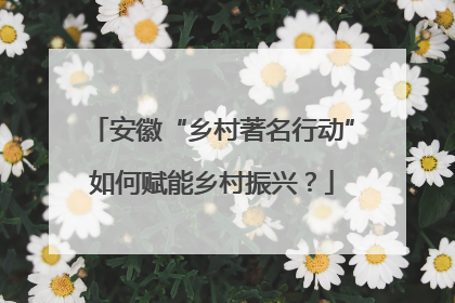安徽“乡村著名行动”如何赋能乡村振兴？
