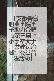 安徽警官职业学院学子助力合肥市第三届“小手牵大手、共建法治城”公益普法活动
