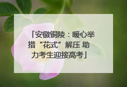 安徽铜陵：暖心举措“花式”解压 助力考生迎接高考