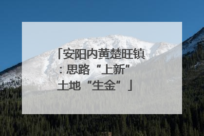安阳内黄楚旺镇：思路“上新” 土地“生金”