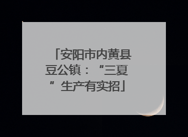 安阳市内黄县豆公镇：“三夏”生产有实招