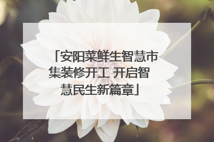 安阳菜鲜生智慧市集装修开工 开启智慧民生新篇章