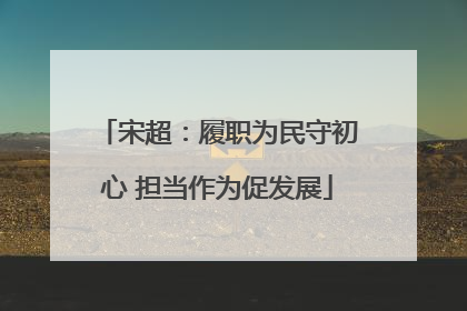 宋超：履职为民守初心 担当作为促发展