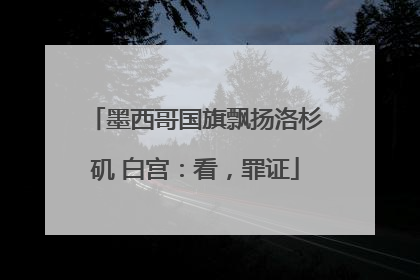 墨西哥国旗飘扬洛杉矶 白宫：看，罪证