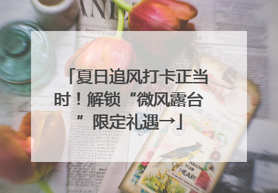 夏日追风打卡正当时！解锁“微风露台”限定礼遇→