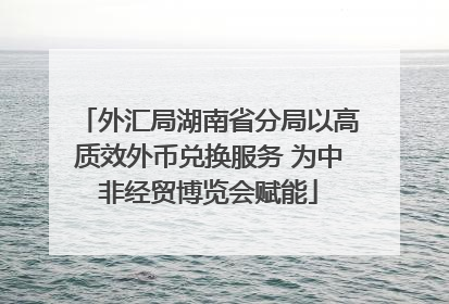 外汇局湖南省分局以高质效外币兑换服务 为中非经贸博览会赋能