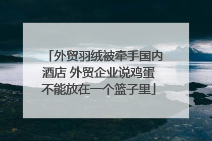外贸羽绒被牵手国内酒店 外贸企业说鸡蛋不能放在一个篮子里