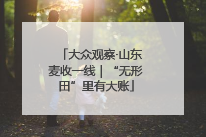 大众观察·山东麦收一线｜“无形田”里有大账