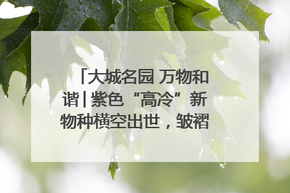 大城名园 万物和谐│紫色“高冷”新物种横空出世，皱褶叶片暗藏进化密码