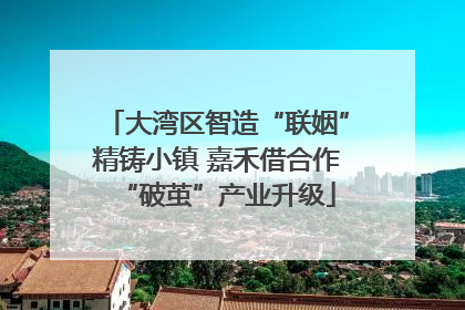 大湾区智造“联姻”精铸小镇 嘉禾借合作“破茧”产业升级