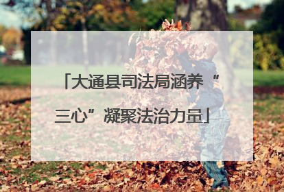大通县司法局涵养“三心”凝聚法治力量